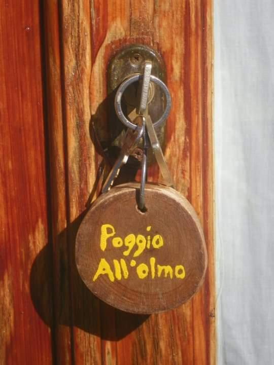 Вілла Agriturismo Poggio All'Olmo Греве-ін-К'янті Екстер'єр фото