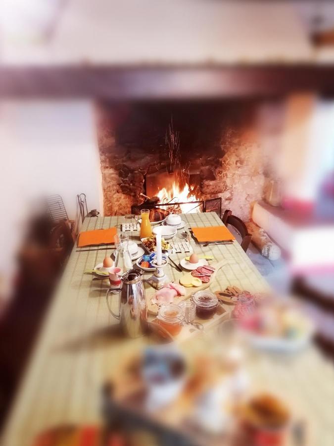 Вілла Agriturismo Poggio All'Olmo Греве-ін-К'янті Екстер'єр фото