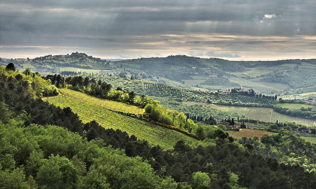 Вілла Agriturismo Poggio All'Olmo Греве-ін-К'янті Екстер'єр фото