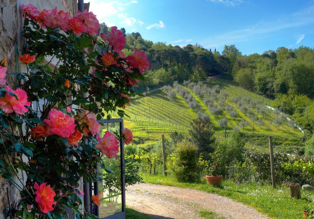 Вілла Agriturismo Poggio All'Olmo Греве-ін-К'янті Екстер'єр фото